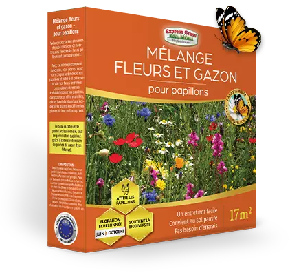 Blom- och gräsblandning - för fjärilar