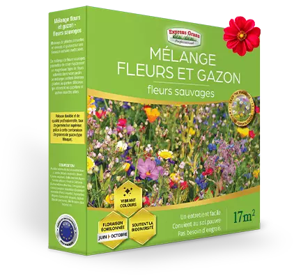Blom- och gräsblandning - vilda blommor