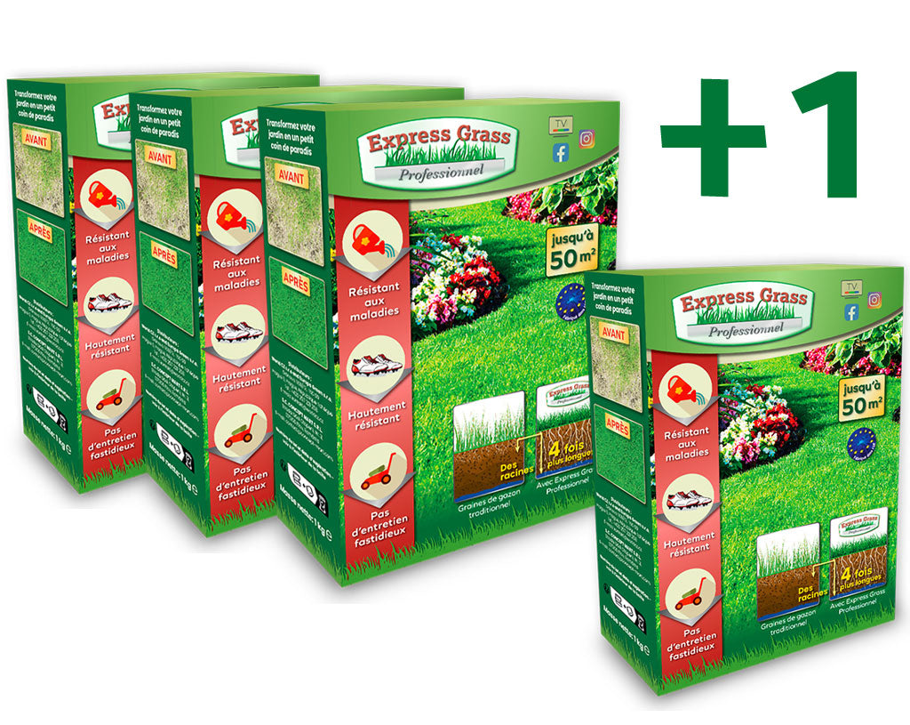 3 + 1 paket Express Grass Professional gräsmattefrö