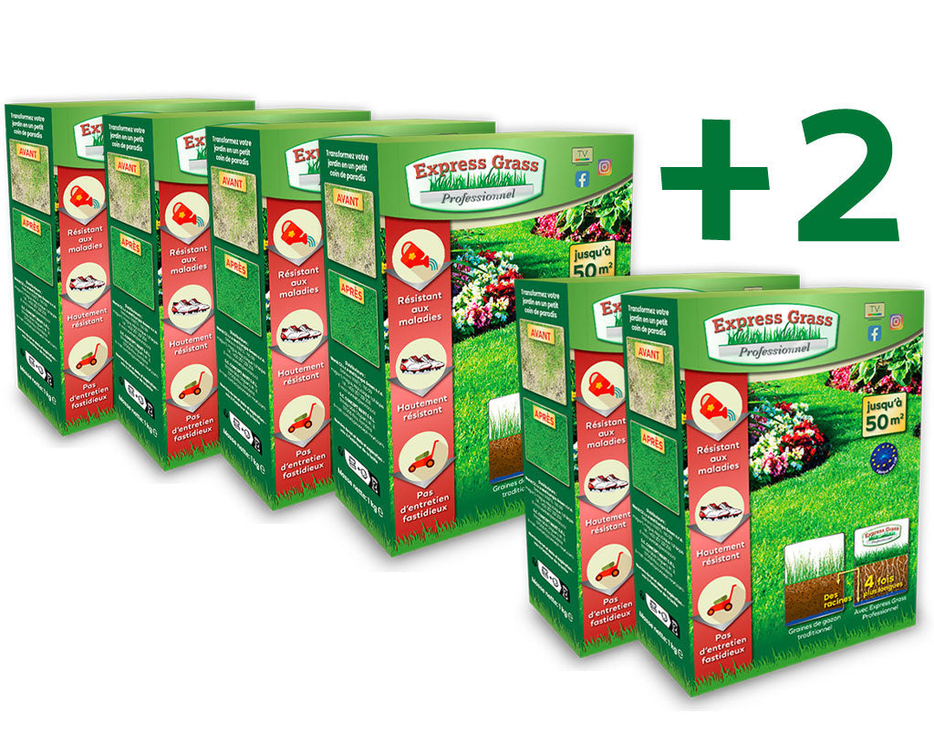 4 + 2 paket Express Grass Professional gräsmattefrö