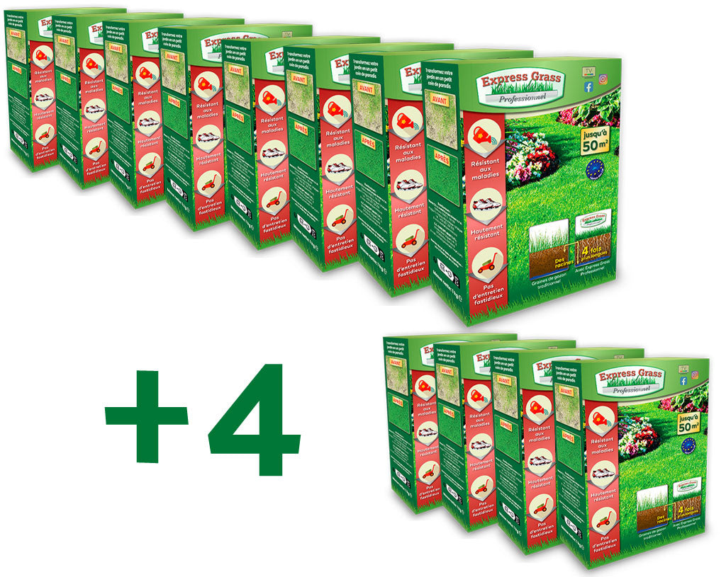 8 + 4 paket Express Grass Professional gräsmattefrö