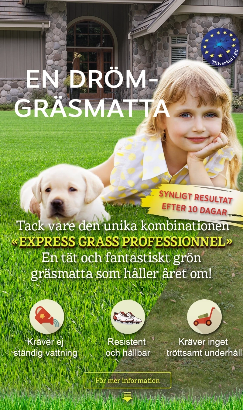 Express Grass