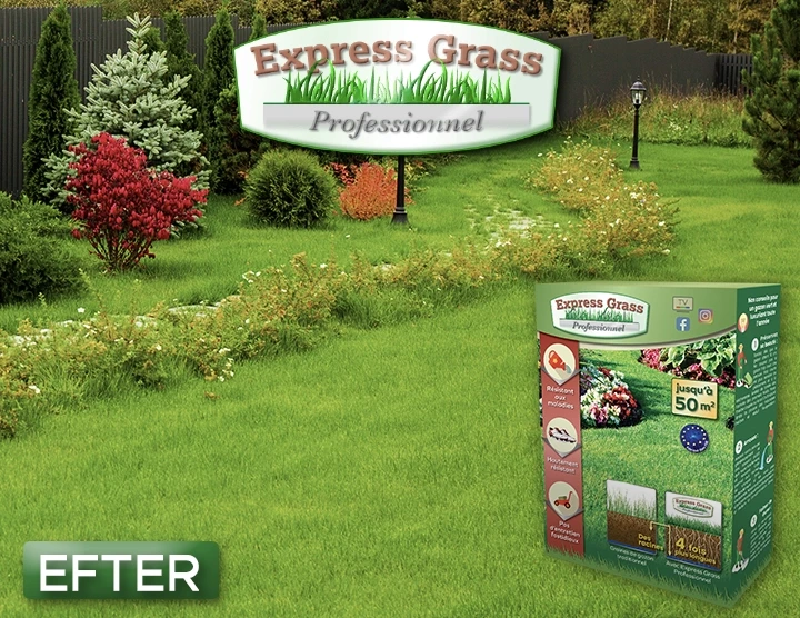 Express Grass